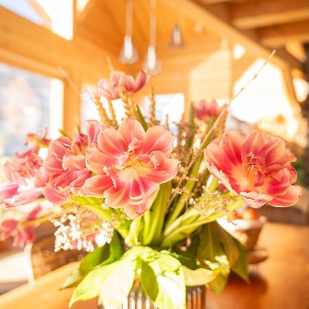 Chalet Ski Academie - Serre Chevalier 圣沙夫雷 外观 照片