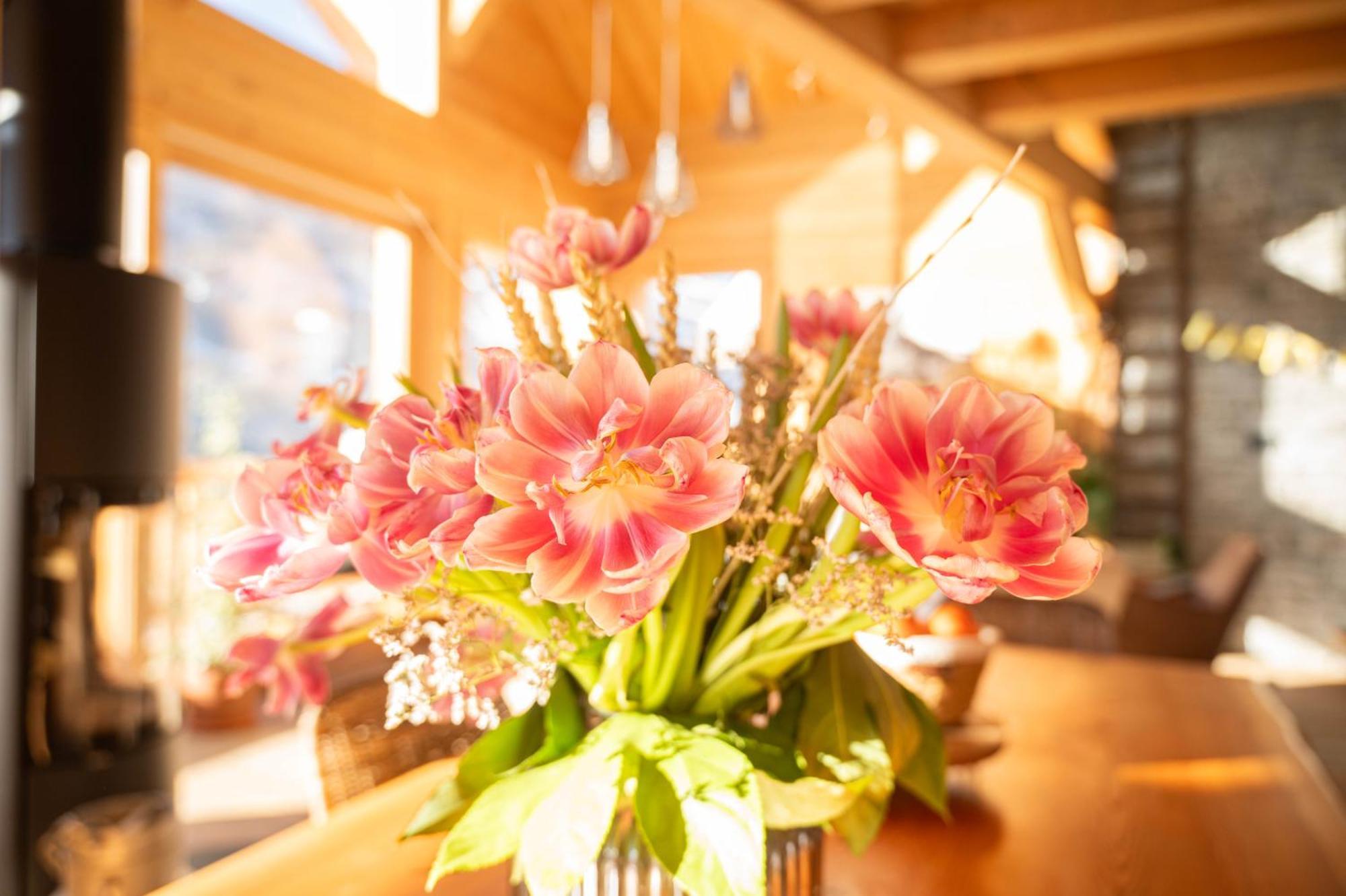 Chalet Ski Academie - Serre Chevalier 圣沙夫雷 外观 照片